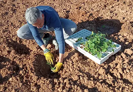 Antes de llegar al plato, todo empieza aquí