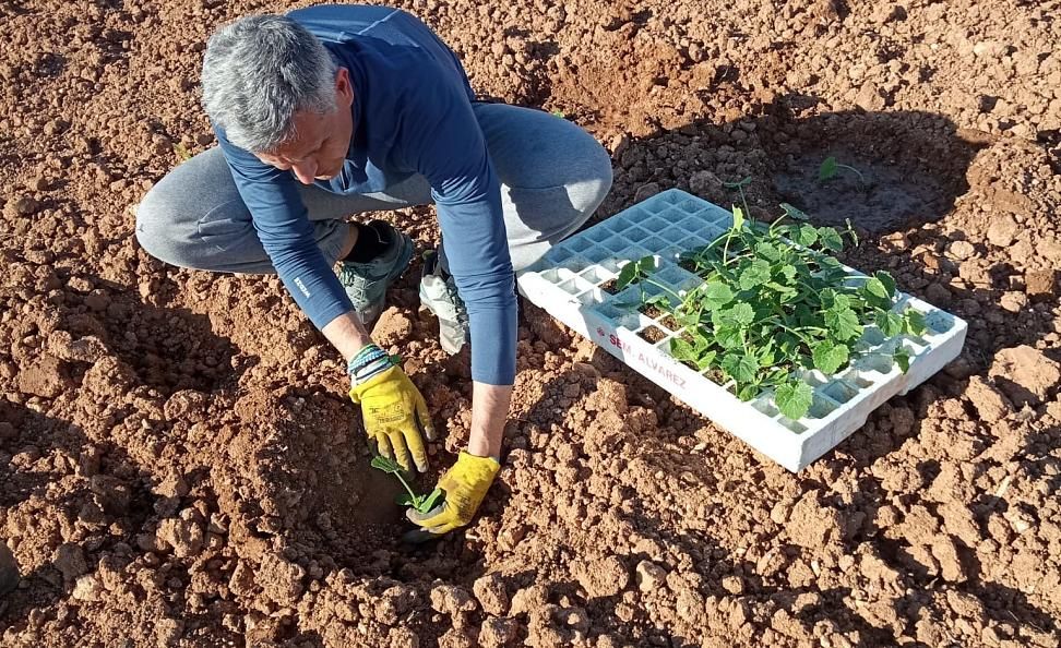 Before it reaches your plate, it all starts here