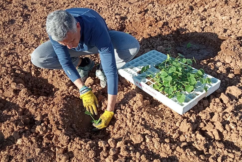 Before it reaches your plate, it all starts here