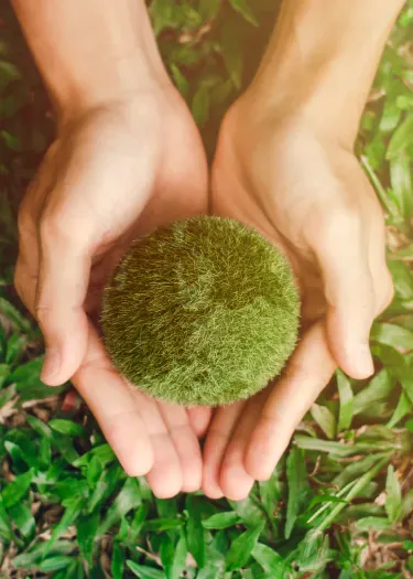 Environmental policy